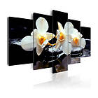 Arkiio Tavla Orchids With Orange Accent 200x100