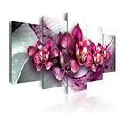 Arkiio Tavla Ruby Queen 100x50 A3-N4524
