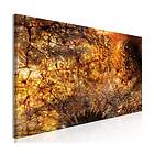 Arkiio Tavla Pupil (1 Part) Narrow 135x45 A3-N7966-DKXL