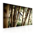 Arkiio Tavla In A Tropical Forest 120x80