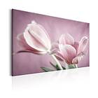 Arkiio Tavla Romantic Tulips 120x80 A3-N5910-DKXL