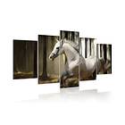 Arkiio Tavla Horse Running 200x100