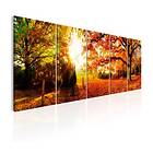 Arkiio Tavla Enchanting Autumn 200x80 A3-N6811-DK