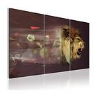 Arkiio Tavla Lejon Abstrakt (abstrakt) 120x80 A3-N2592-DKX
