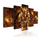 Arkiio Tavla Golden Tiger 200x100 A3-N6035-DKX