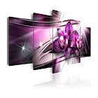 Arkiio Tavla Amaranthine Tandem 200x100