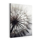 Arkiio Tavla Pure Delicacy 40x60 A3-N7351