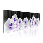 Arkiio Tavla Water Orchids 120x40 A3-N3826
