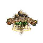 Spirit Island: Nature Incarnate