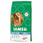Iams ProActive Dog Adult Large Breed 3kg