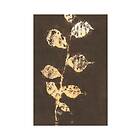 Malerifabrikken Poster Pure Nature 4 Brun