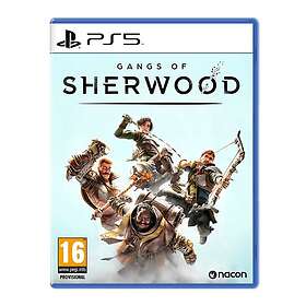 PlayStation 5-spel