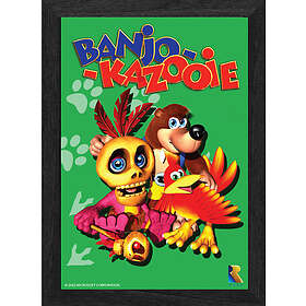 Pixel Frames Plax Banjo Kazooie 25x30cm