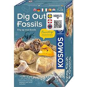 Pedagogiska leksaker