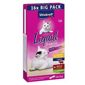 Katt
