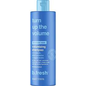 Shampoo