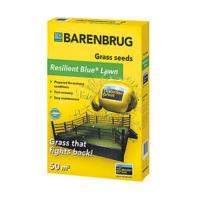 Barenbrug Gräsfrö Resilient Blue 1kg XEED XE10009-01