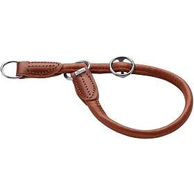 Djurhalsband och selar