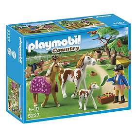 playmobil ranch