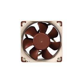 Noctua