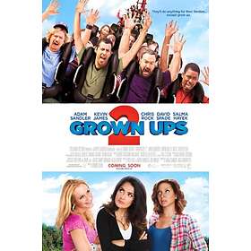 Grown Ups 2 (DVD)