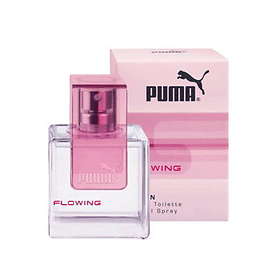 flowing puma flowing puma