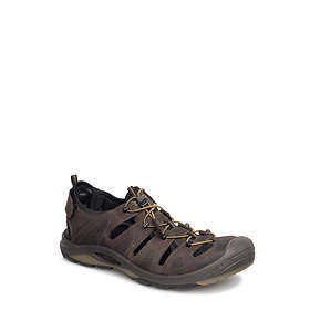 ecco biom delta