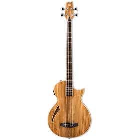 ESP