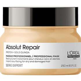 L'Oreal Serie Expert Absolut Repair Lipidium Mask 250ml