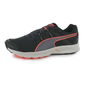 puma descendant puma descendant