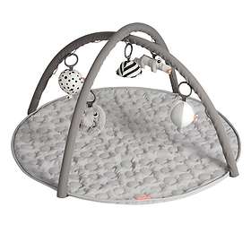 Babygym