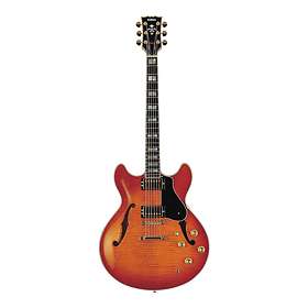 Semi-Hollow/Hollow Body