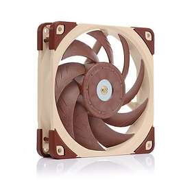 Noctua