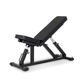 InSportLine Adjustable Training Bench AB100