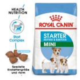 Royal Canin Starter Mother & Babydog Mini 8kg