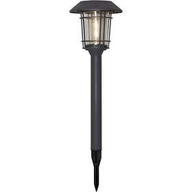 Markspett- och spotlights