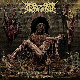 Ingested: Stinking Cesspool Of Liquified Human (Vinyl)