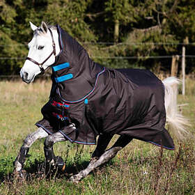 Hästtäcken och stalltäcken