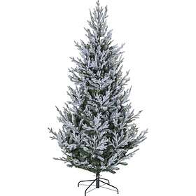 Julgranar