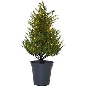 Star Trading Thuja Dekorationsträd 55cm