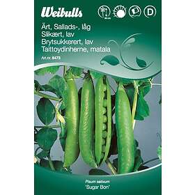 Weibulls Frö Salladsärt, Låg ‘Sugar Bon’ Grön