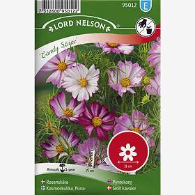 Blomsterfrø og blomsterløker