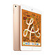 Apple iPad Mini 64GB (5th Generation)