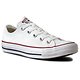 Converse Chuck Taylor All Star Ox Canvas Low (Unisex)
