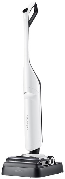 Roborock Flexi Pro