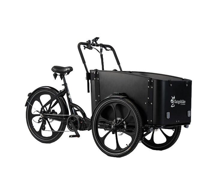 Cargobike DeLight (Electric)