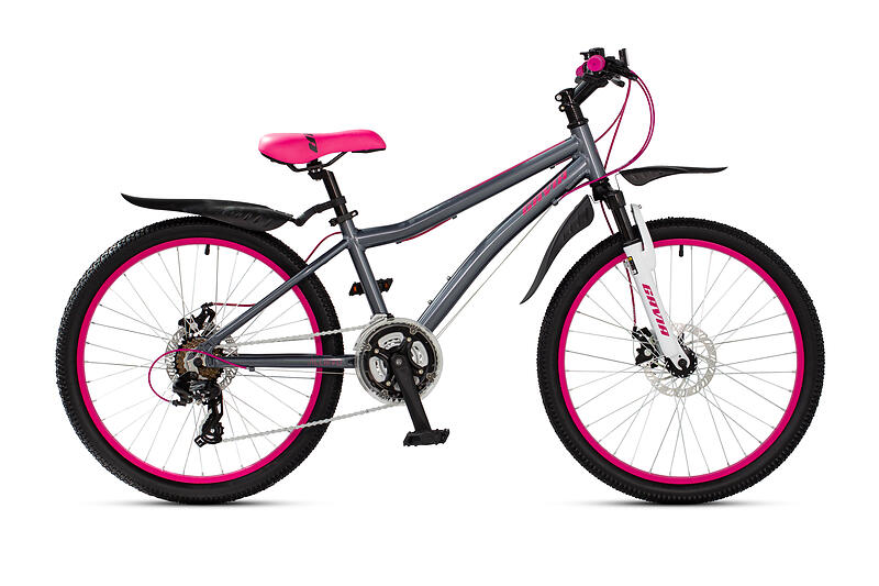 Gavia Allievo 24"