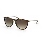 Ray-Ban RB4171 Erika