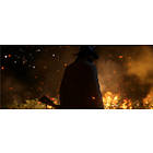 Red Dead Redemption 2 (PS4)