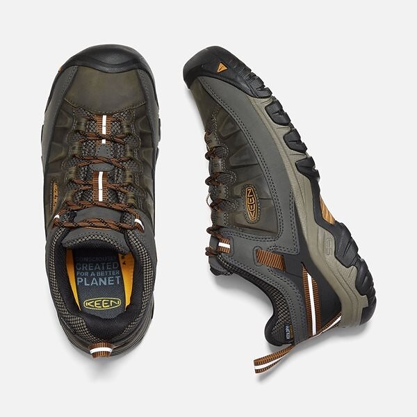 KEEN Chaussures de randonnée imperméables Targhee IV - Homme - Large KEEN Chaussures de randonnée imperméables Targhee IV - Homme - Large